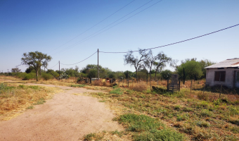 Campo ganadero en Garza, Santiago del Estero