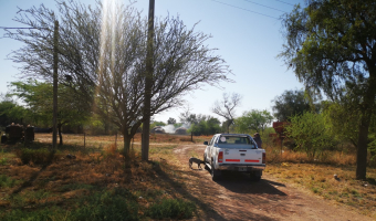 Campo ganadero en Garza, Santiago del Estero