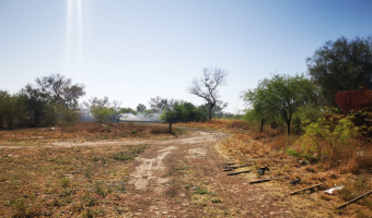 Campo ganadero en Garza, Santiago del Estero