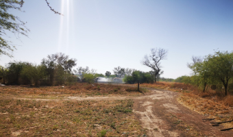 Campo ganadero en Garza, Santiago del Estero