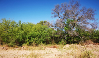 Campo ganadero en Garza, Santiago del Estero