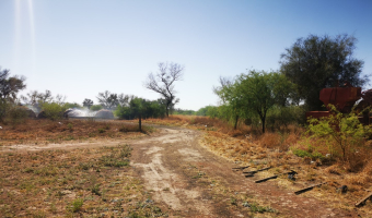 Campo ganadero en Garza, Santiago del Estero
