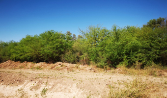 Campo ganadero en Garza, Santiago del Estero