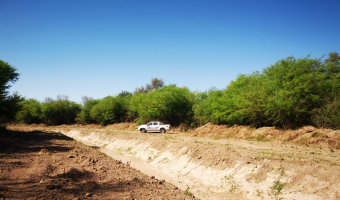 Campo ganadero en Garza, Santiago del Estero
