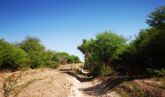 Campo ganadero en Garza, Santiago del Estero