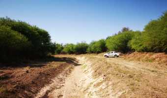 Campo ganadero en Garza, Santiago del Estero
