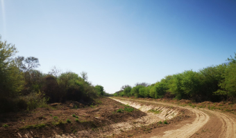 Campo ganadero en Garza, Santiago del Estero