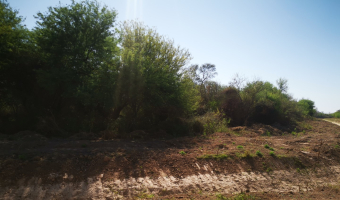 Campo ganadero en Garza, Santiago del Estero