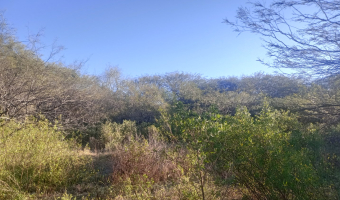 Chacra en el Tramo 18, Santiago del Estero