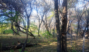 Chacra en el Tramo 18, Santiago del Estero