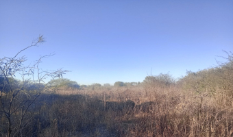 Chacra en el Tramo 18, Santiago del Estero
