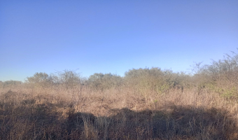 Chacra en el Tramo 18, Santiago del Estero