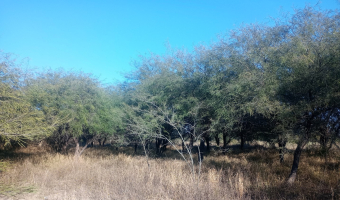 Chacra en el Tramo 18, Santiago del Estero