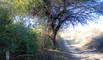 Chacra en el Tramo 18, Santiago del Estero