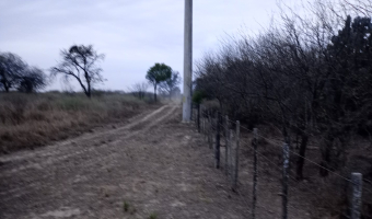 Feedlot en  Betrán, Santiago del Estero