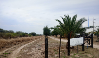 Feedlot en  Betrán, Santiago del Estero