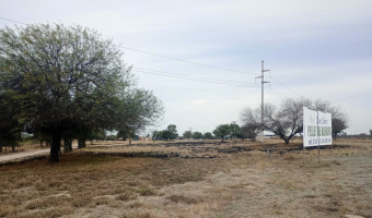Feedlot en  Betrán, Santiago del Estero