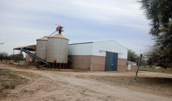 Feedlot en  Betrán, Santiago del Estero
