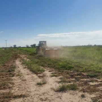 Campo Agrícola departamento Banda, Santiago del Estero