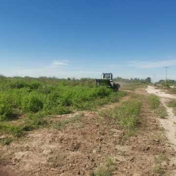 Campo Agrícola departamento Banda, Santiago del Estero