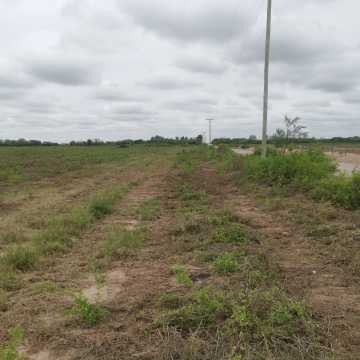 Campo Agrícola departamento Banda, Santiago del Estero