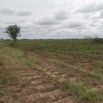 Campo Agrícola departamento Banda, Santiago del Estero