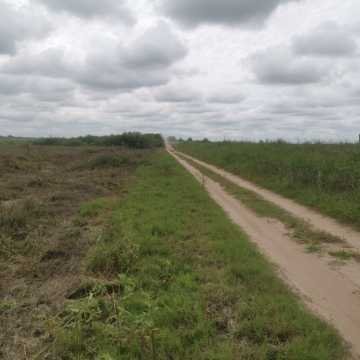 Campo Agrícola departamento Banda, Santiago del Estero