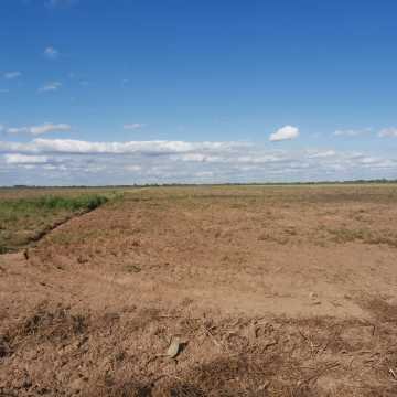 Campo Agrícola departamento Banda, Santiago del Estero