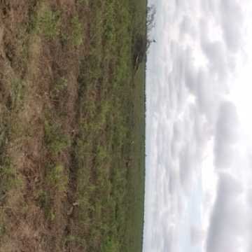 Campo Agrícola departamento Banda, Santiago del Estero