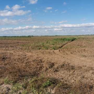 Campo Agrícola departamento Banda, Santiago del Estero