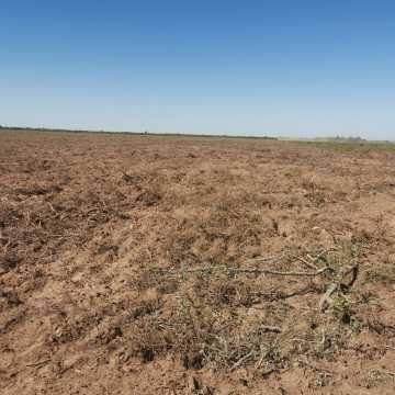 Campo Agrícola departamento Banda, Santiago del Estero