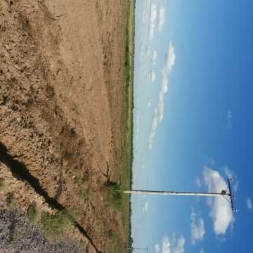 Campo Agrícola departamento Banda, Santiago del Estero