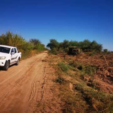 Campo Agrícola departamento Banda, Santiago del Estero