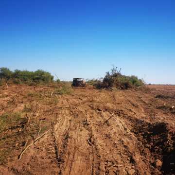 Campo Agrícola departamento Banda, Santiago del Estero