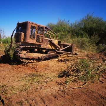 Campo Agrícola departamento Banda, Santiago del Estero