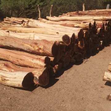 Postes de quebracho colorado, itin, varillas Santiago del Estero