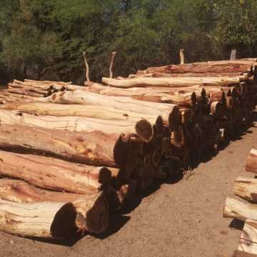 Postes de quebracho colorado, itin, varillas Santiago del Estero