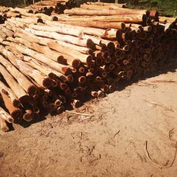 Postes de quebracho colorado, itin, varillas Santiago del Estero