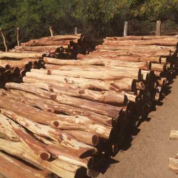 Postes de quebracho colorado, itin, varillas Santiago del Estero