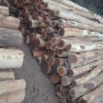 Postes de quebracho colorado, itin, varillas Santiago del Estero