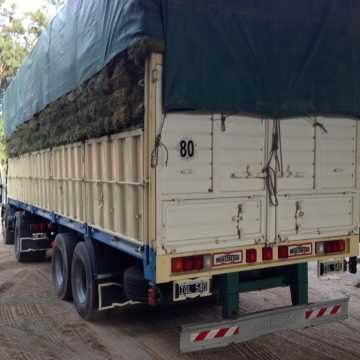 Fardos de Alfalfa Santiago del Estero