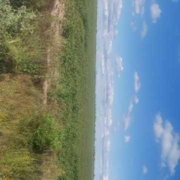Campo Agrícola, San Juan, Dpto Banda