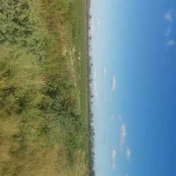 Campo Agrícola, San Juan, Dpto Banda