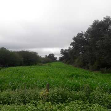 Campo Ganadero en Las Carpas, Chaco