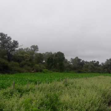 Campo Ganadero en Las Carpas, Chaco