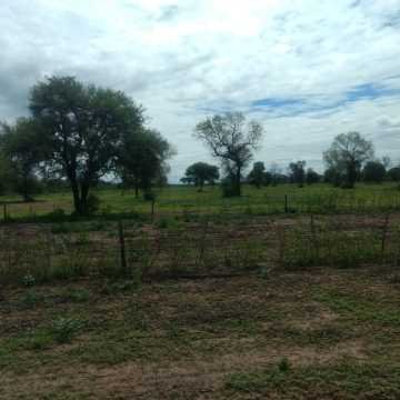 Campo Ganadero en Las Carpas, Chaco