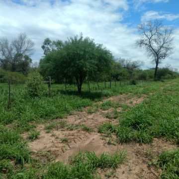 Campo Ganadero en Las Carpas, Chaco