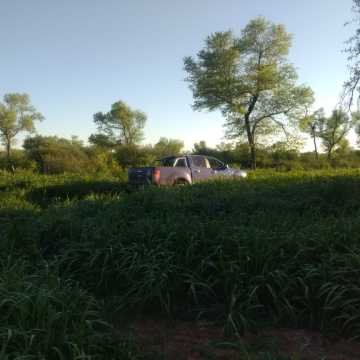 Campo Ganadero en Las Carpas, Chaco