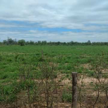 Campo Ganadero en Las Carpas, Chaco