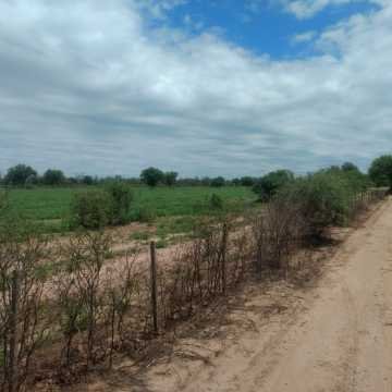 Campo Ganadero en Las Carpas, Chaco
